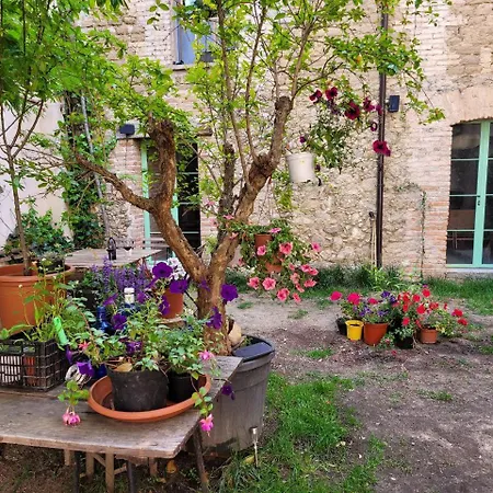 Duplex Independiente Con Acceso A Patio Y Piscina La Nueva Apartment *