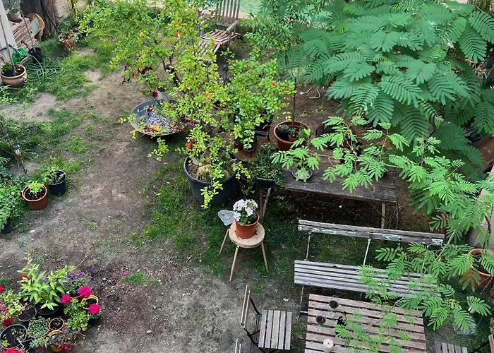 Daire Duplex Independiente Con Acceso A Patio Y Piscina La Nueva *